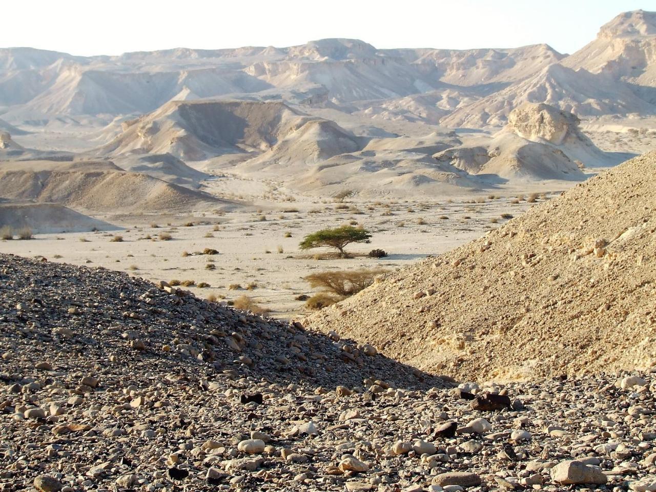 Zman Arava Vila Tzukim Exterior foto
